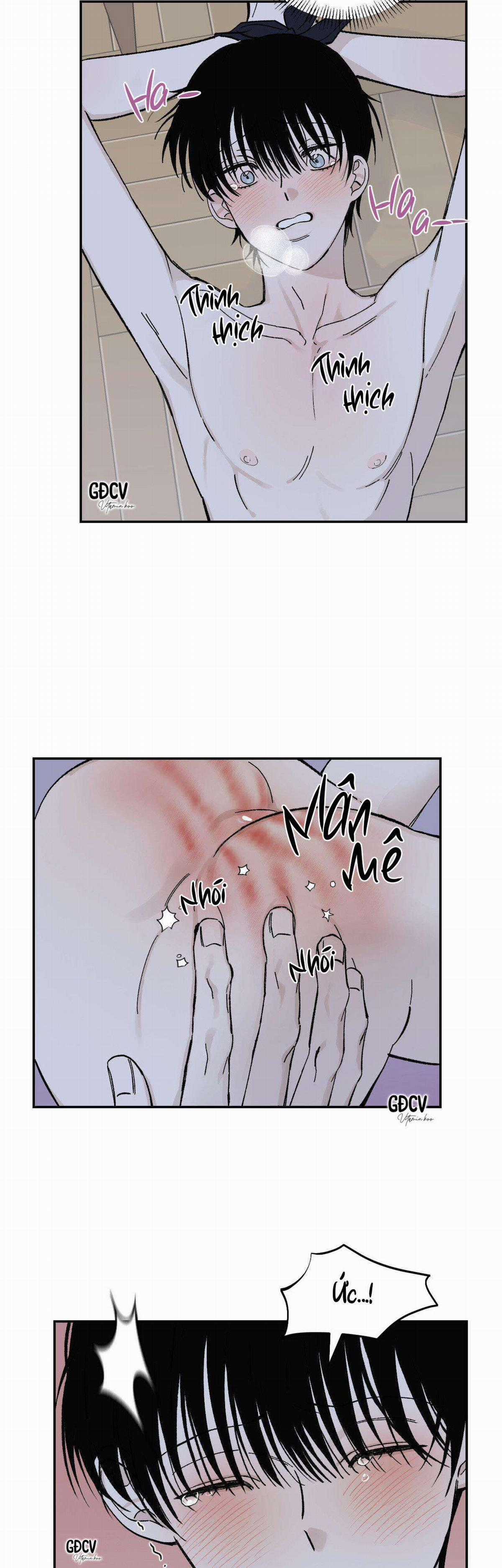 Gia Nhân - Chapter 12 - Trang 21