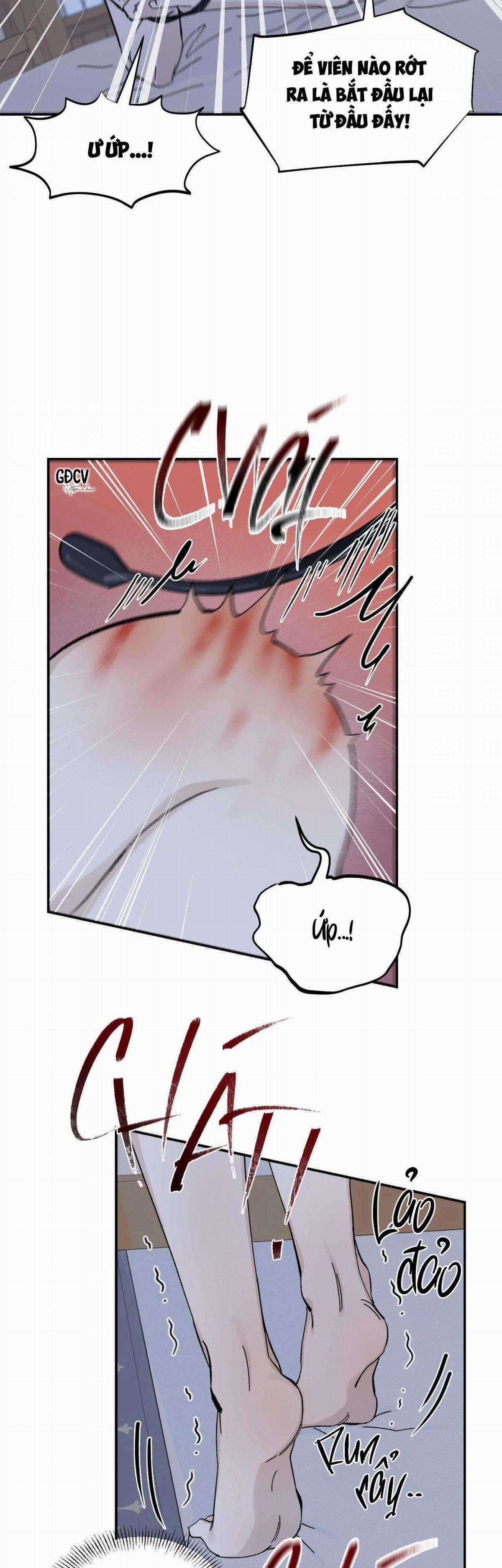 Gia Nhân - Chapter 12 - Trang 8