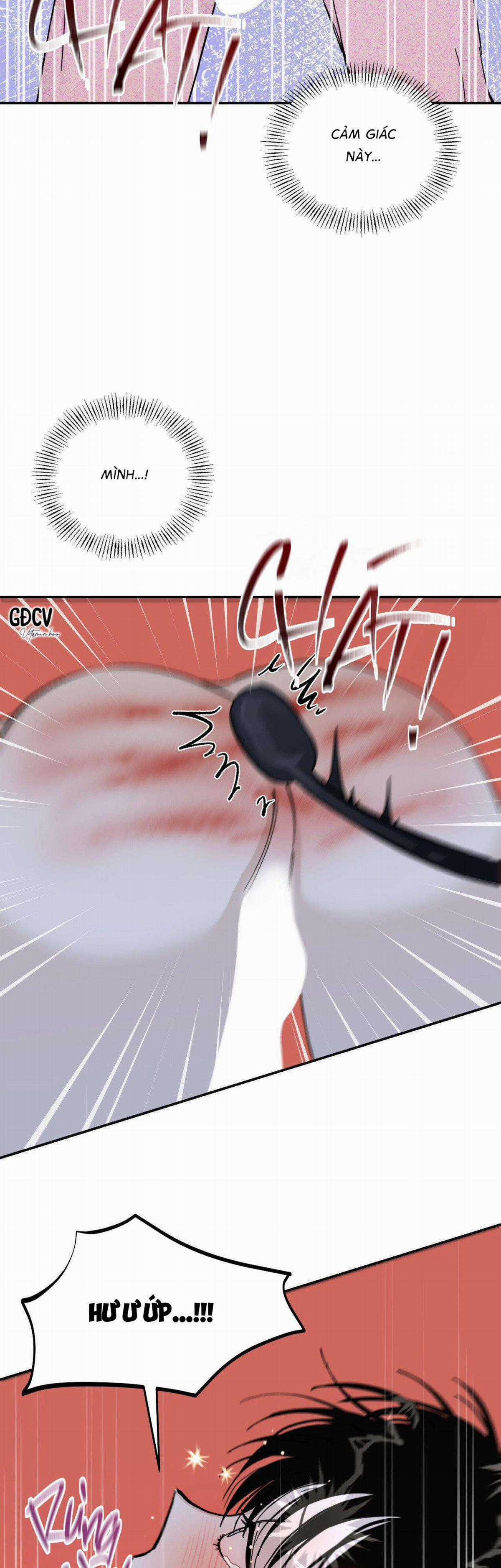 Gia Nhân - Chapter 12 - Trang 10