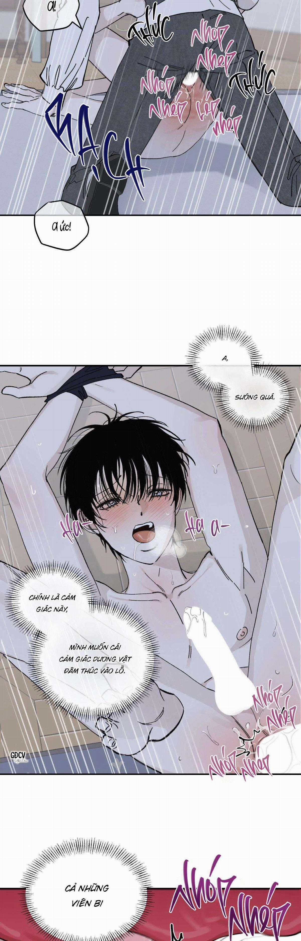 Gia Nhân - Chapter 13 - Trang 2