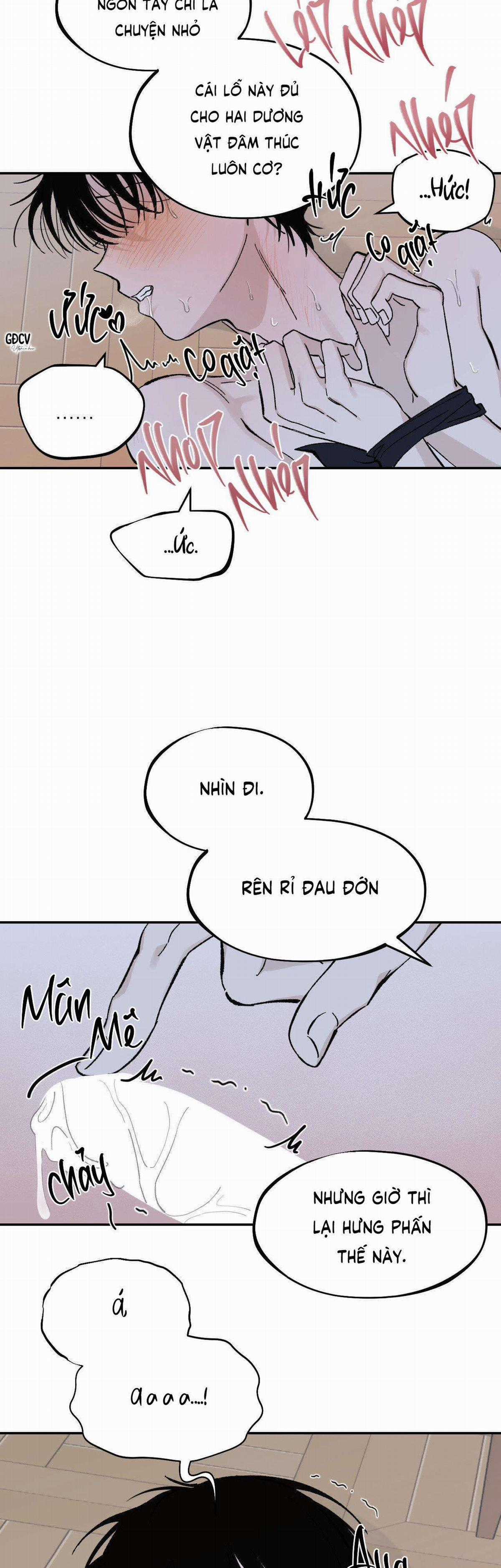 Gia Nhân - Chapter 13 - Trang 9