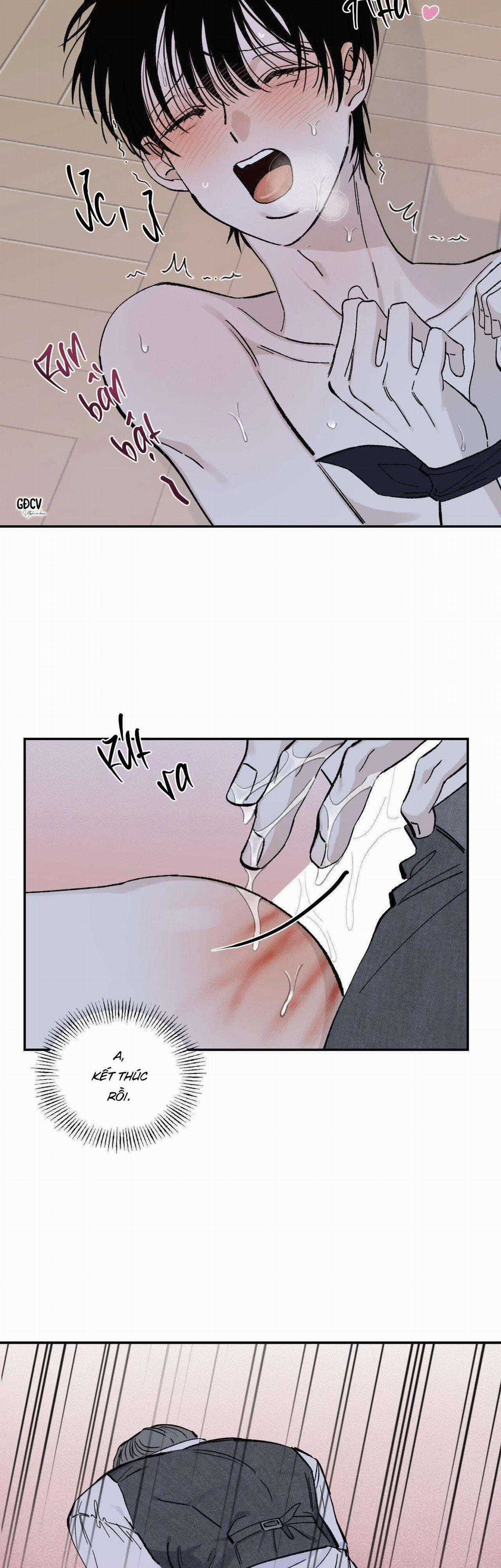 Gia Nhân - Chapter 13 - Trang 10