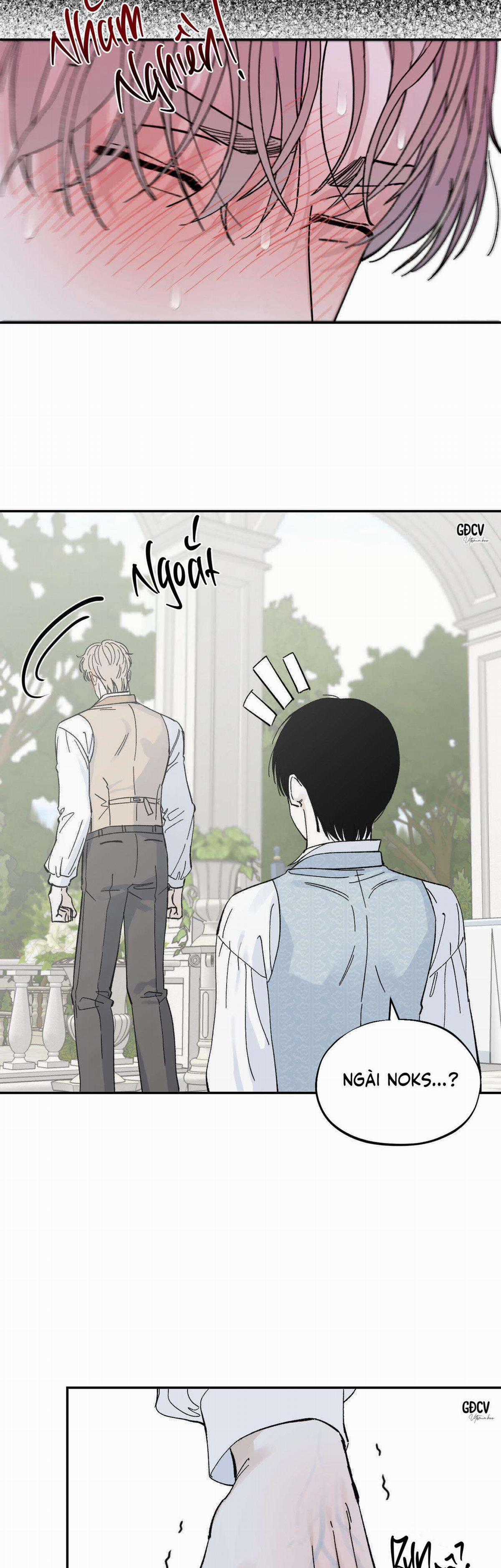 Gia Nhân - Chapter 15 - Trang 15