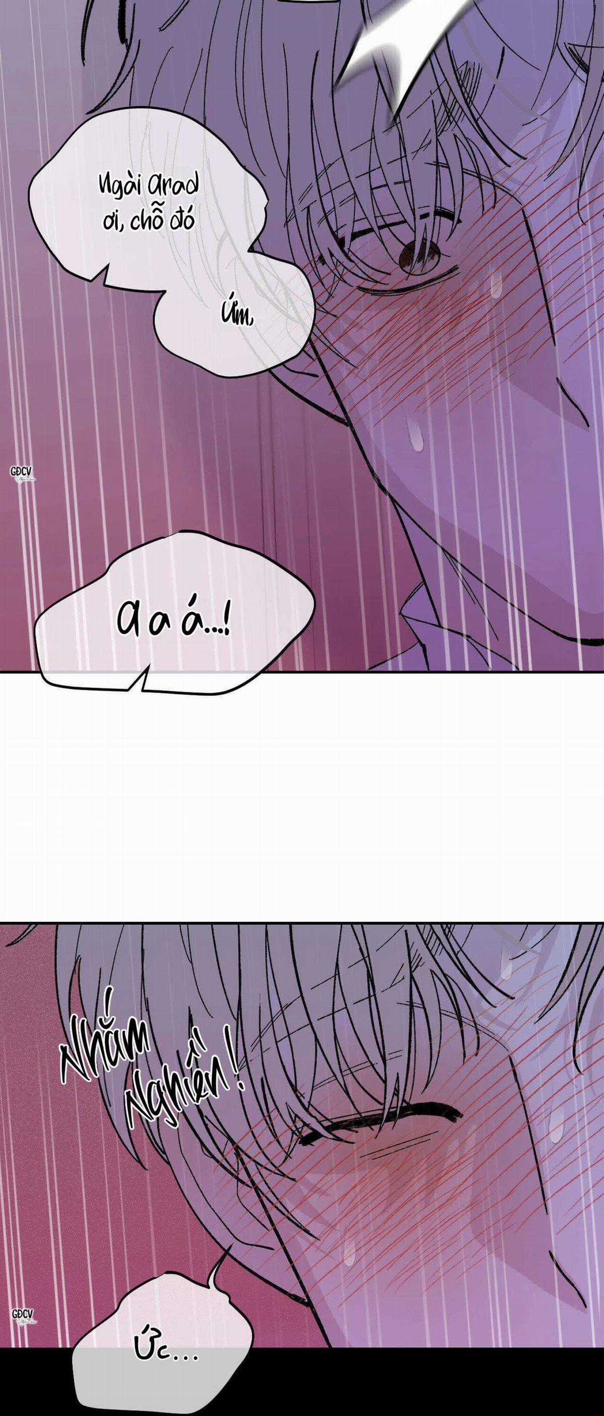 Gia Nhân - Chapter 16 - Trang 5