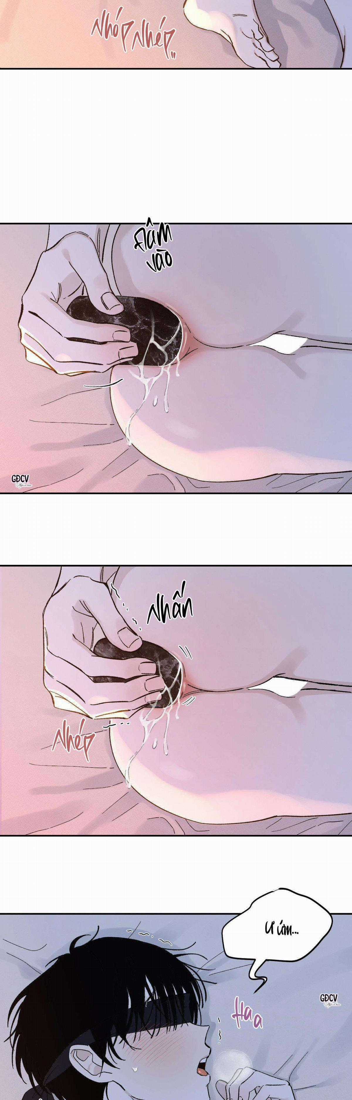 Gia Nhân - Chapter 17 - Trang 21