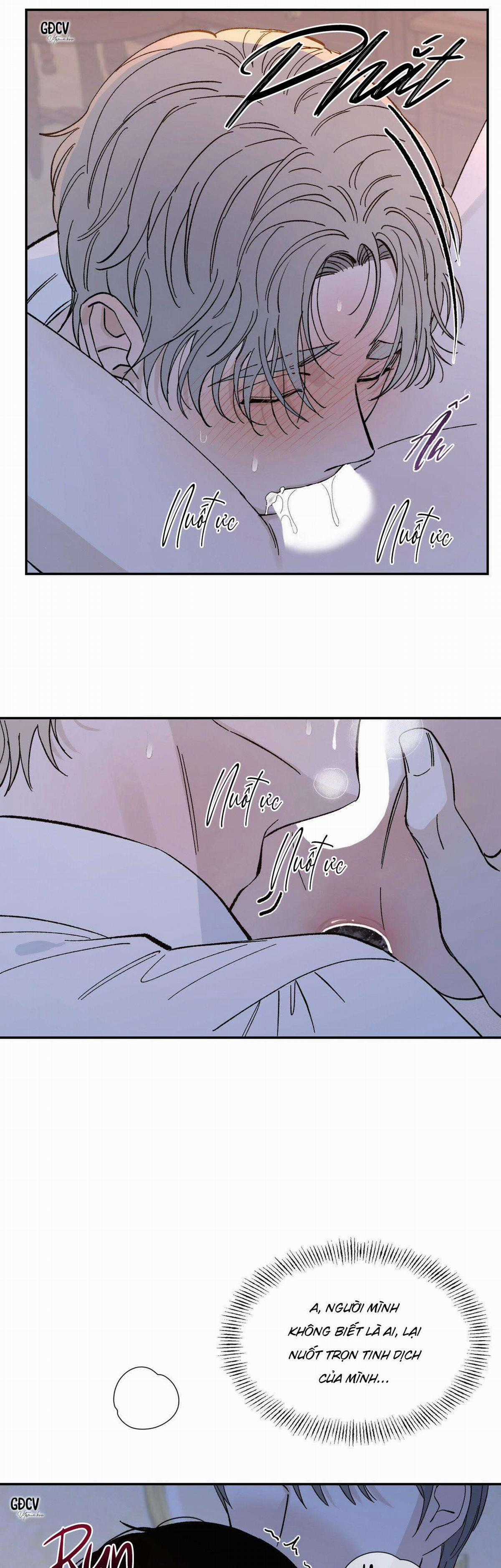 Gia Nhân - Chapter 18 - Trang 16