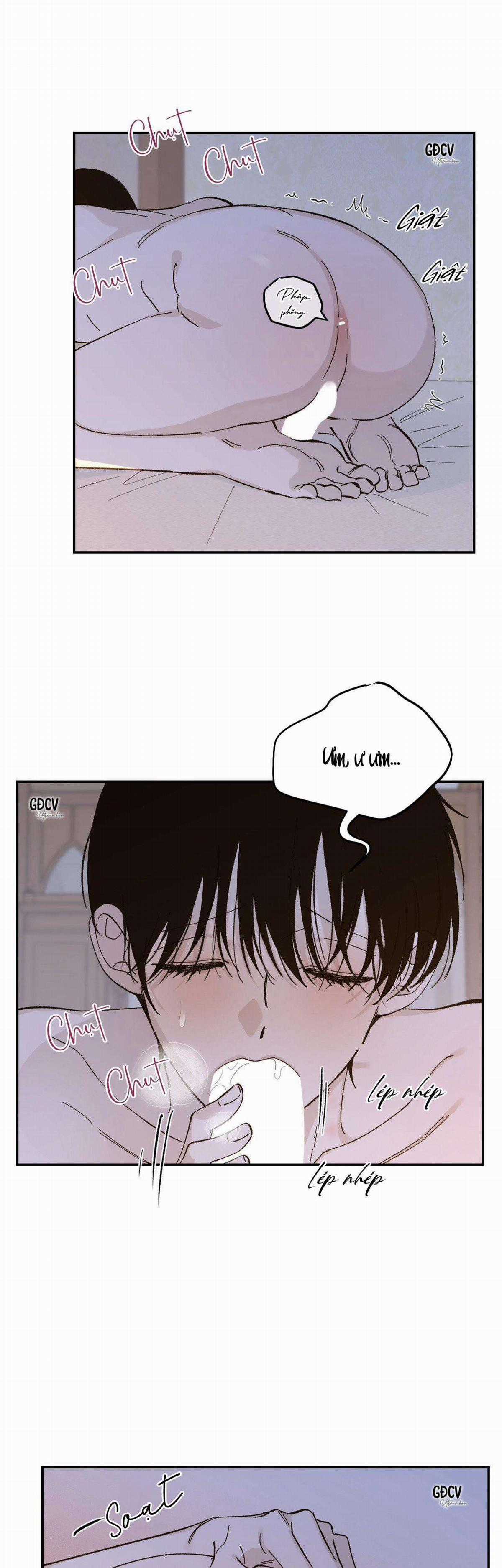 Gia Nhân - Chapter 19 - Trang 11