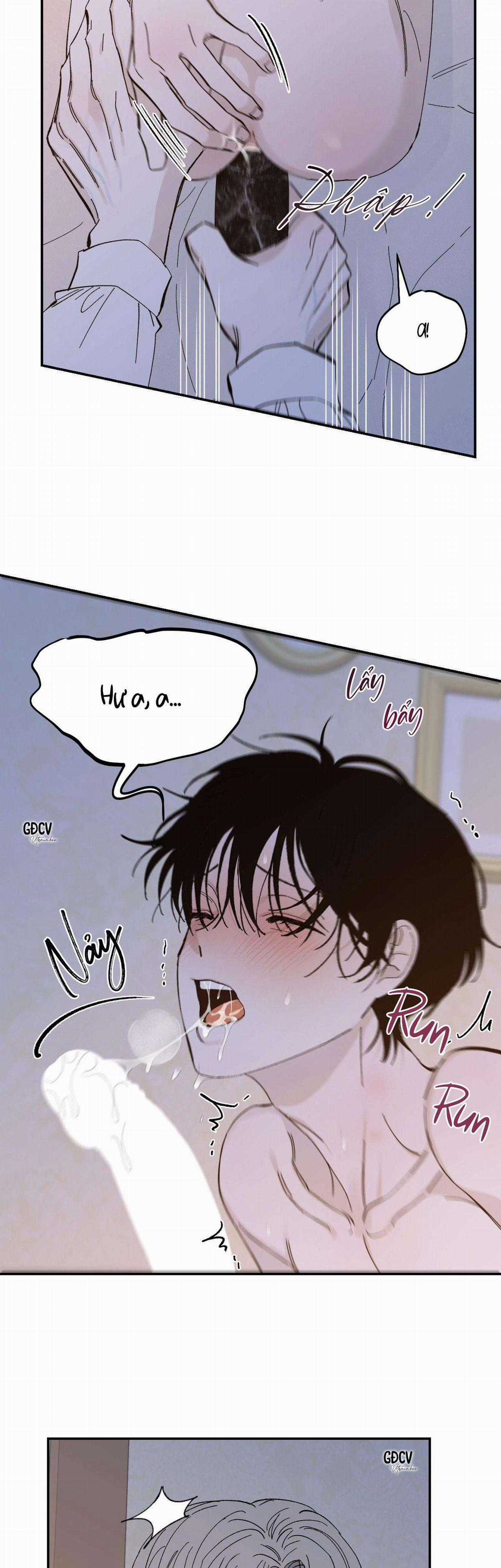 Gia Nhân - Chapter 19 - Trang 14