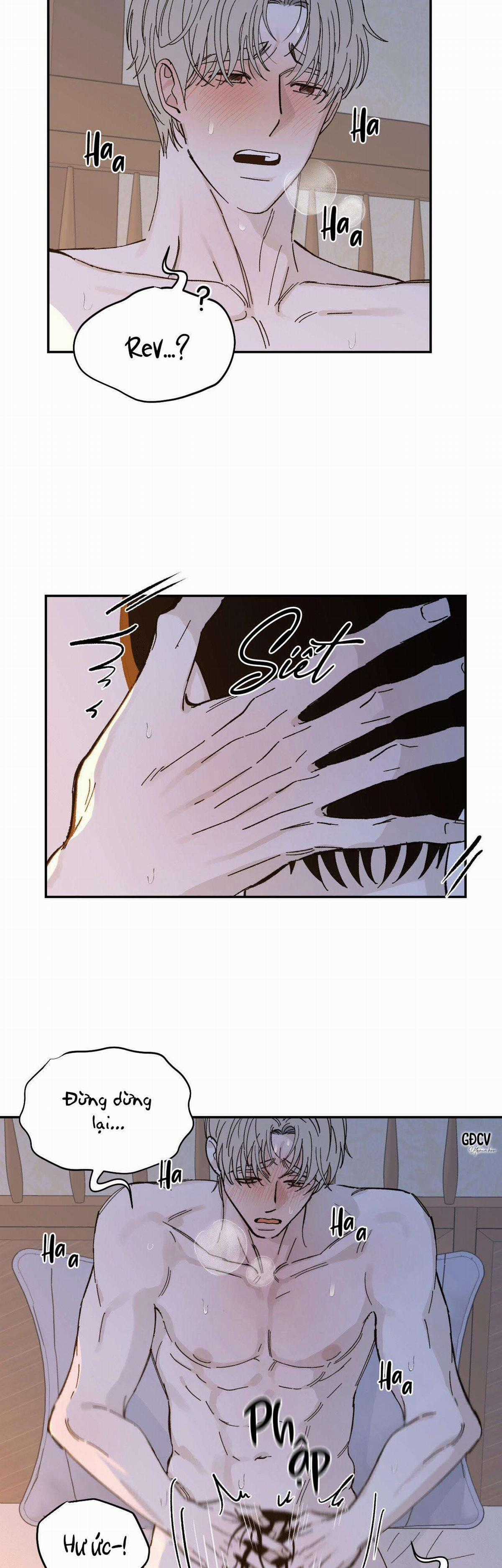 Gia Nhân - Chapter 19 - Trang 15