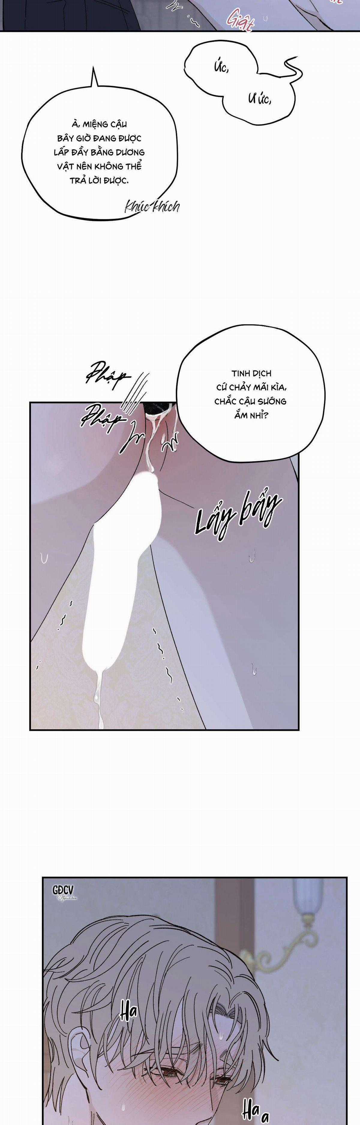 Gia Nhân - Chapter 19 - Trang 17