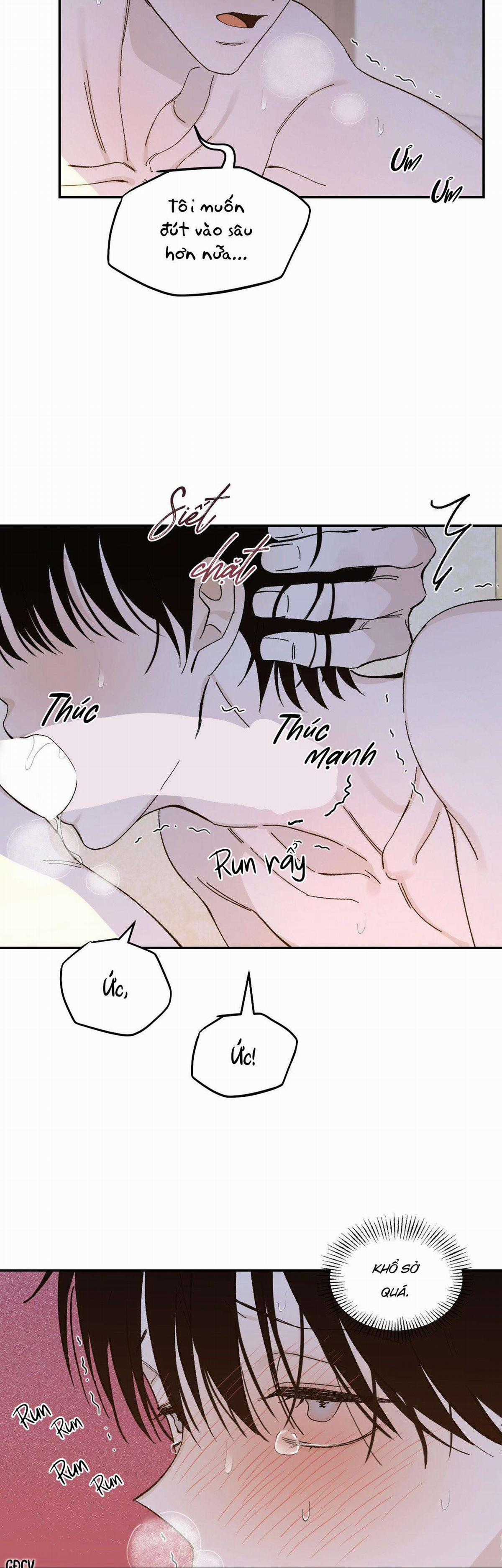 Gia Nhân - Chapter 19 - Trang 18