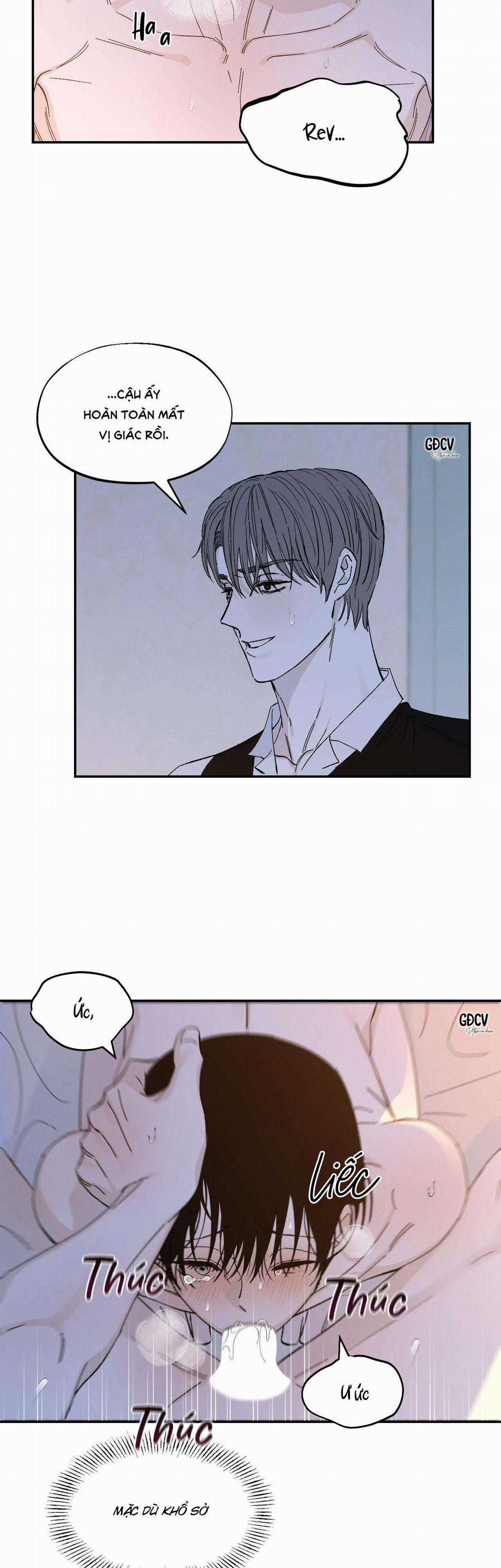 Gia Nhân - Chapter 19 - Trang 20