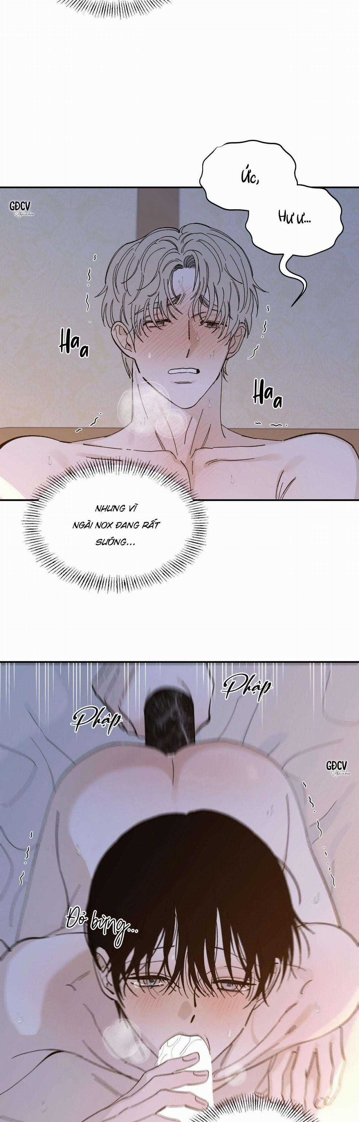 Gia Nhân - Chapter 19 - Trang 21