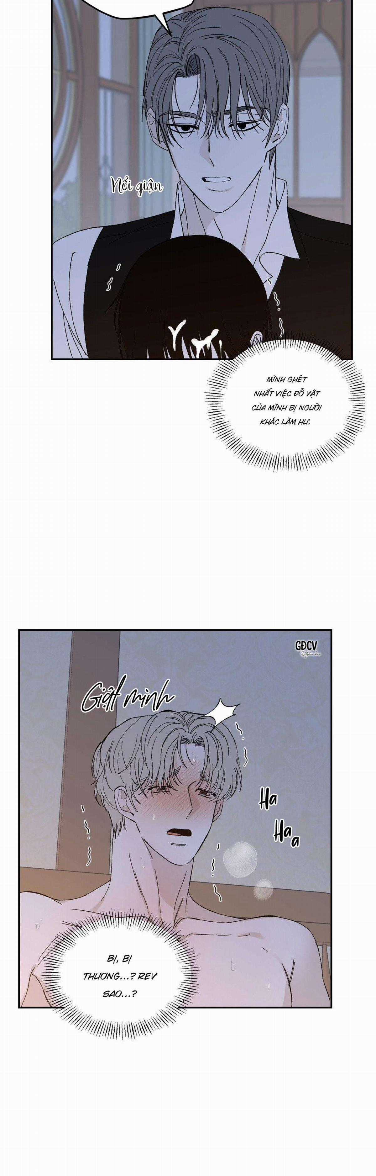 Gia Nhân - Chapter 19 - Trang 25