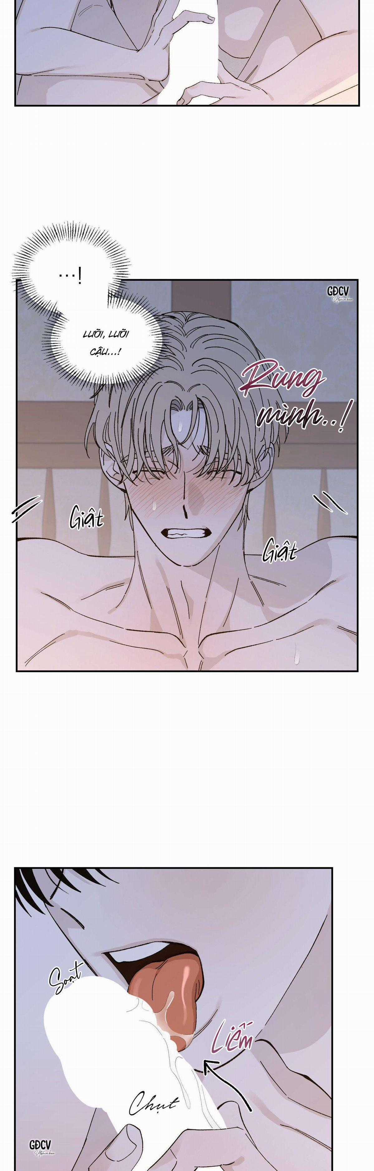 Gia Nhân - Chapter 19 - Trang 8