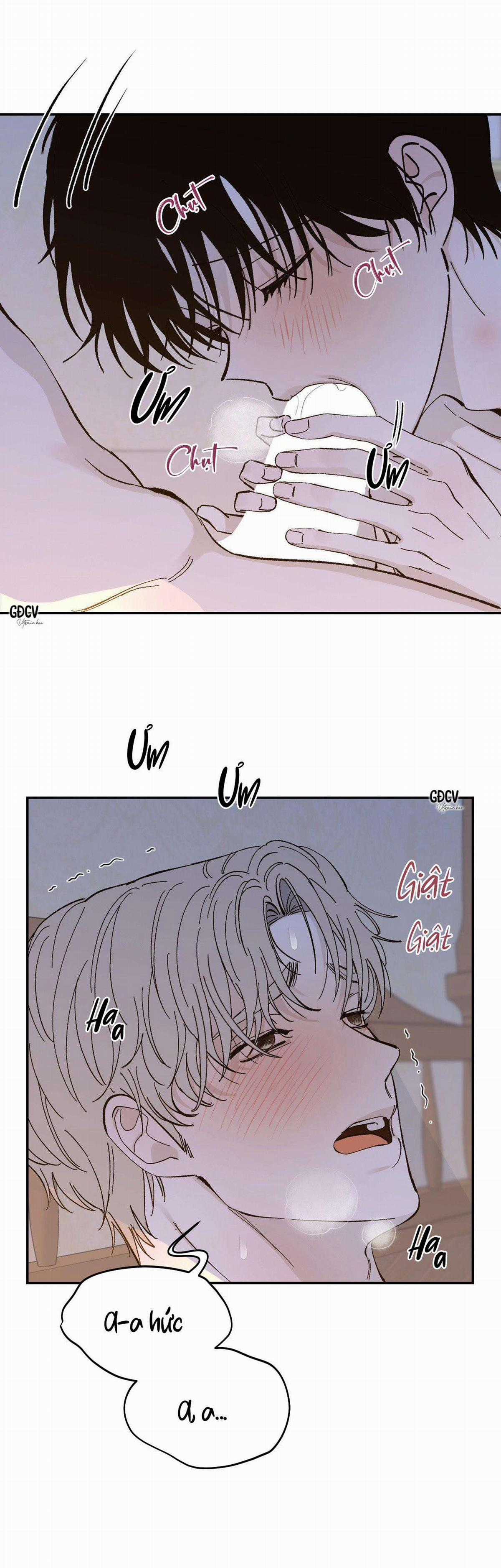 Gia Nhân - Chapter 19 - Trang 10