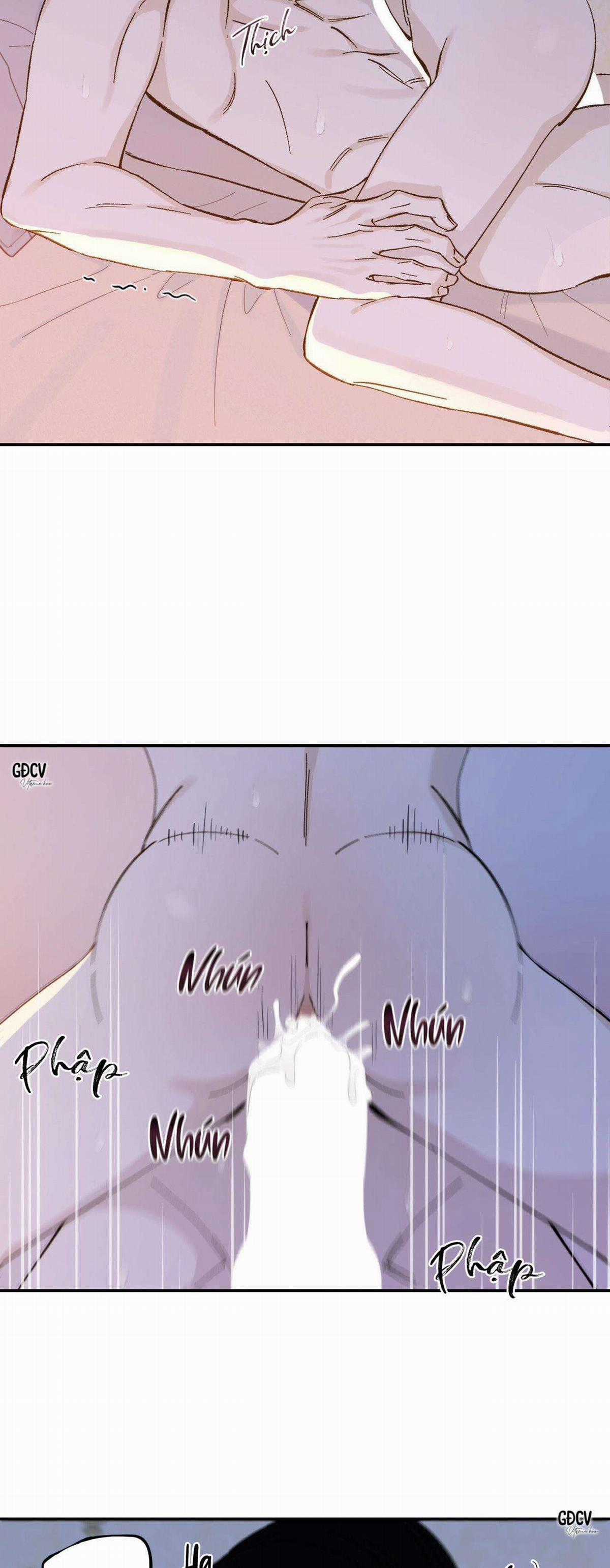 Gia Nhân - Chapter 20 - Trang 15