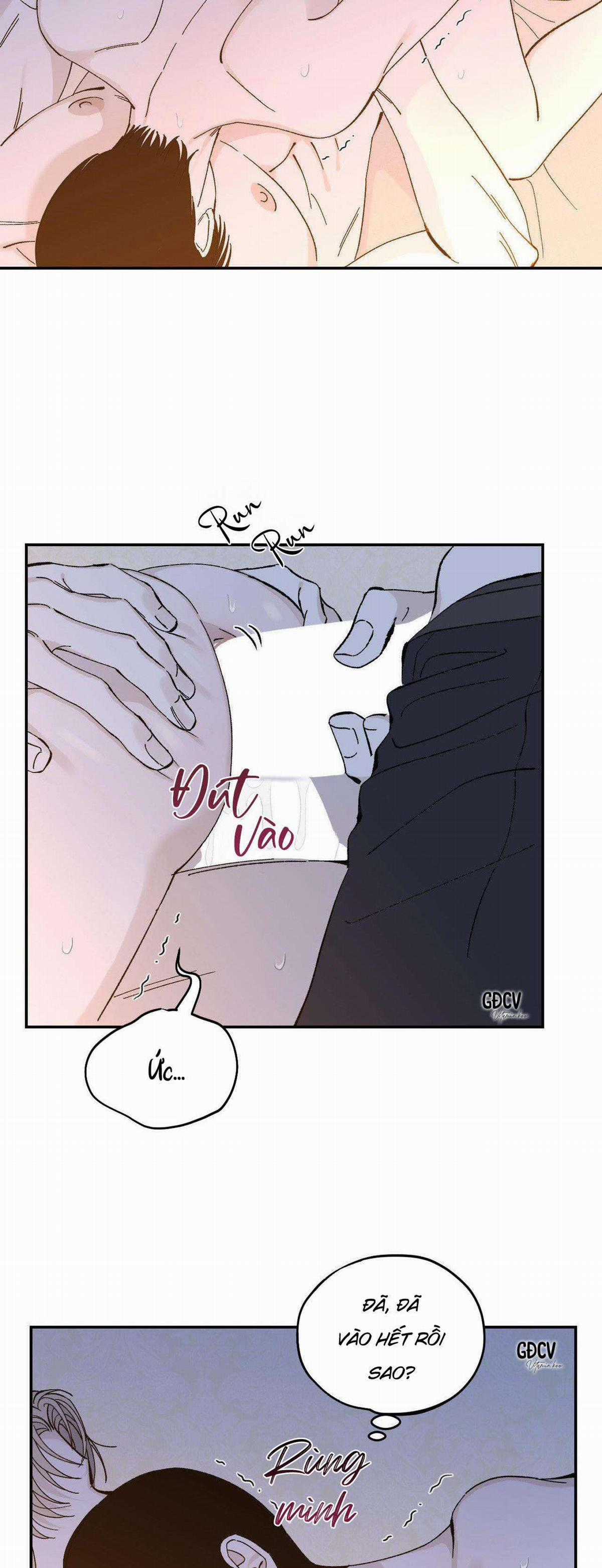 Gia Nhân - Chapter 21 - Trang 2