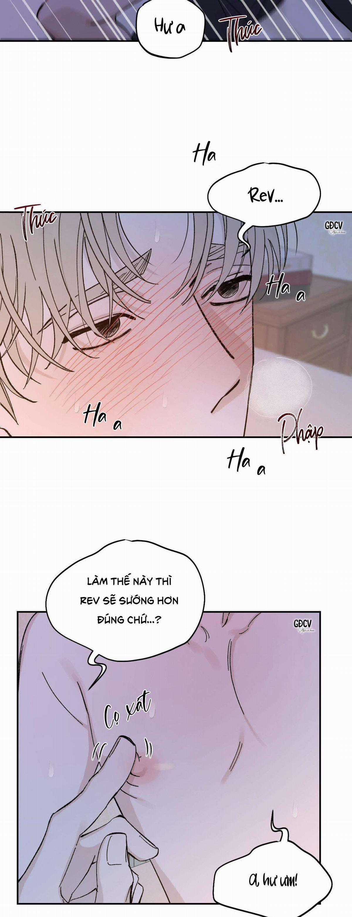 Gia Nhân - Chapter 21 - Trang 13