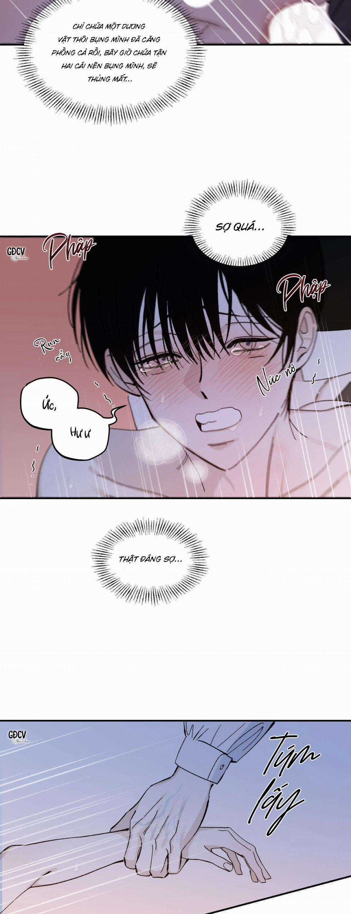 Gia Nhân - Chapter 21 - Trang 16