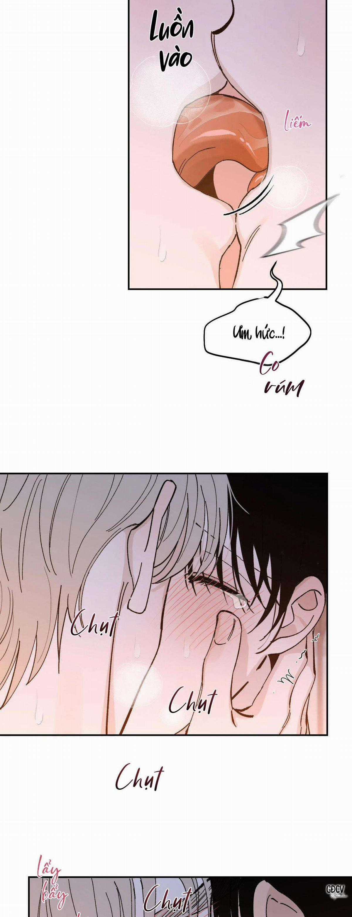 Gia Nhân - Chapter 21 - Trang 23