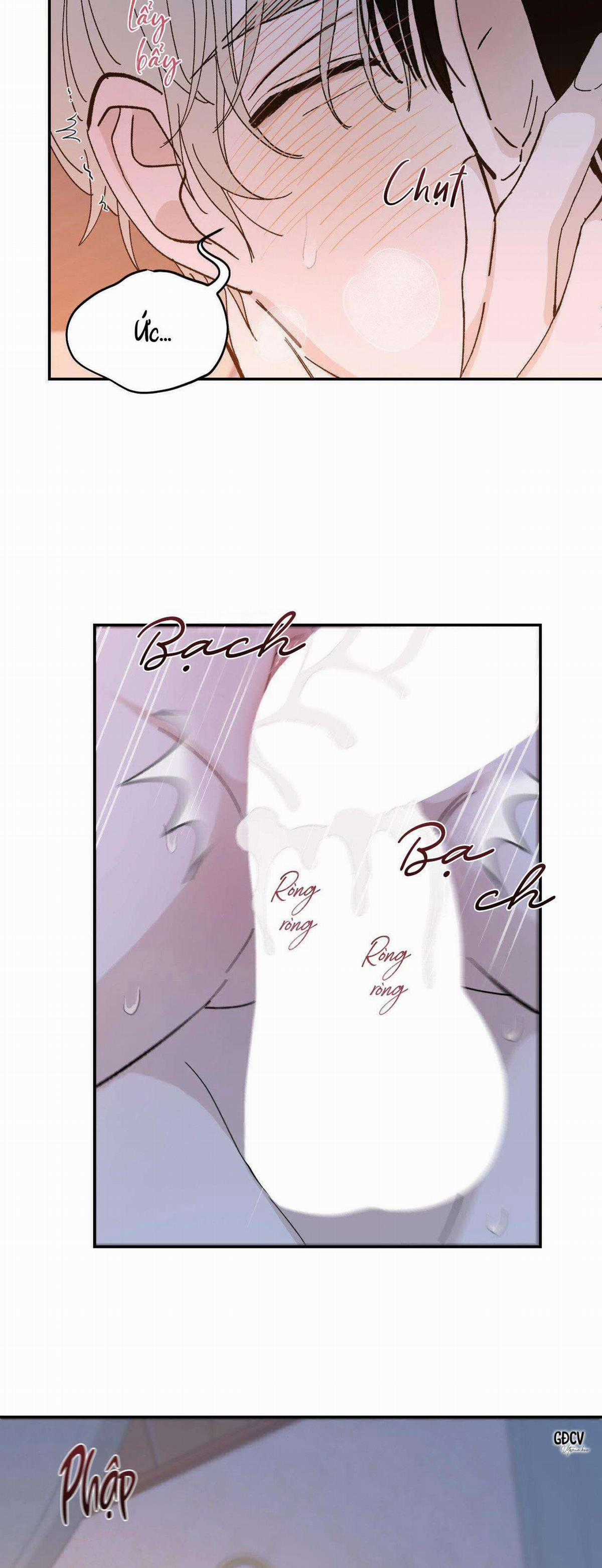 Gia Nhân - Chapter 21 - Trang 24