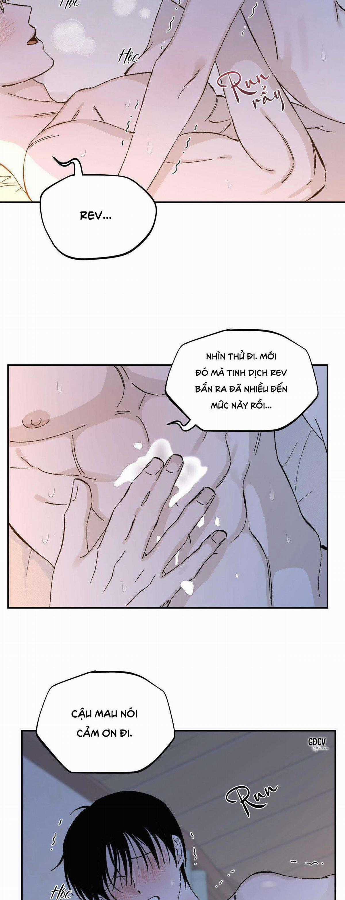 Gia Nhân - Chapter 21 - Trang 8