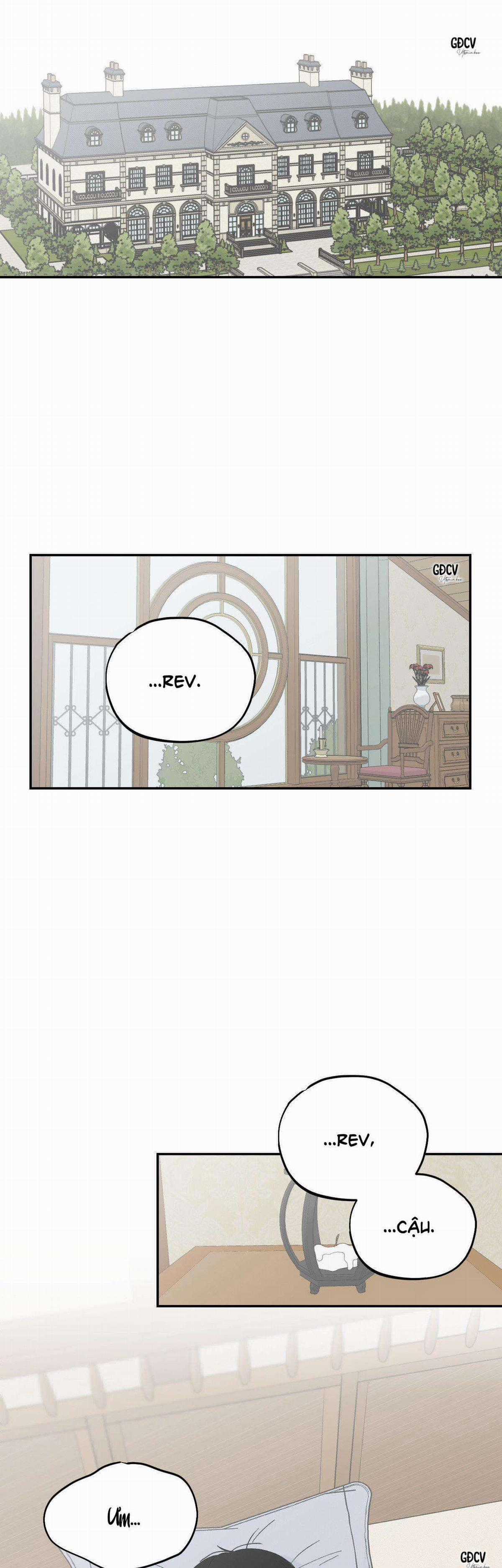 Gia Nhân - Chapter 22 - Trang 19