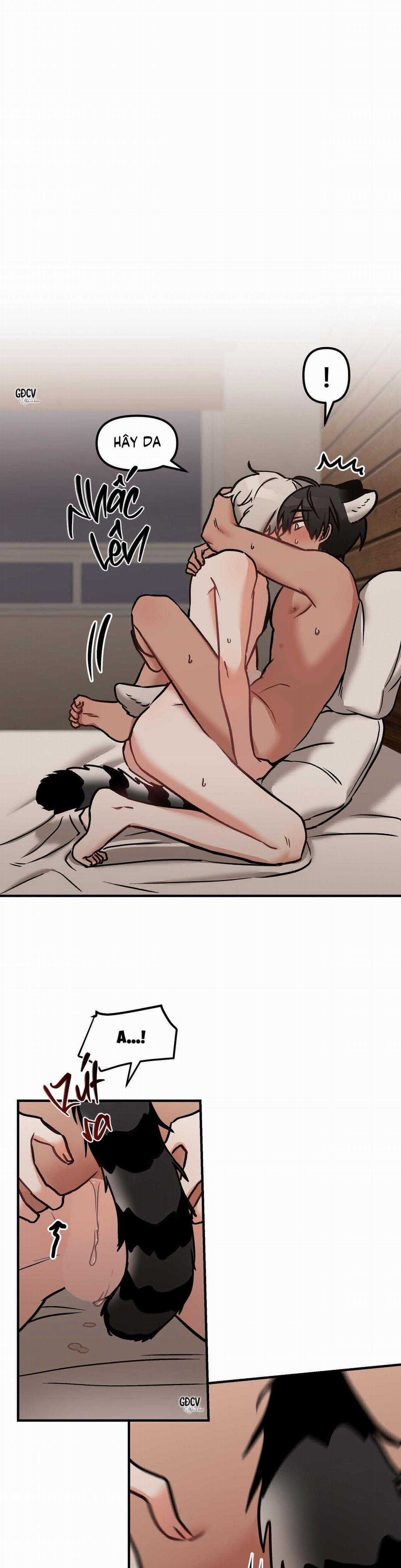 Gia Nhân - Chapter 25 - Trang 5