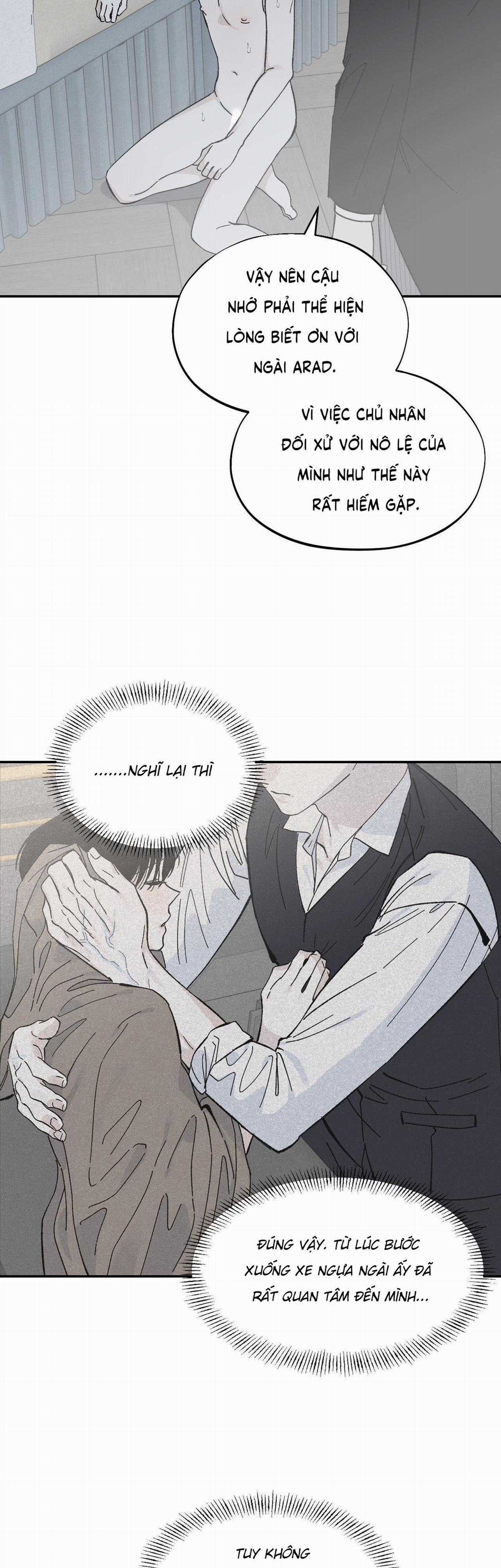 Gia Nhân - Chapter 27 - Trang 8