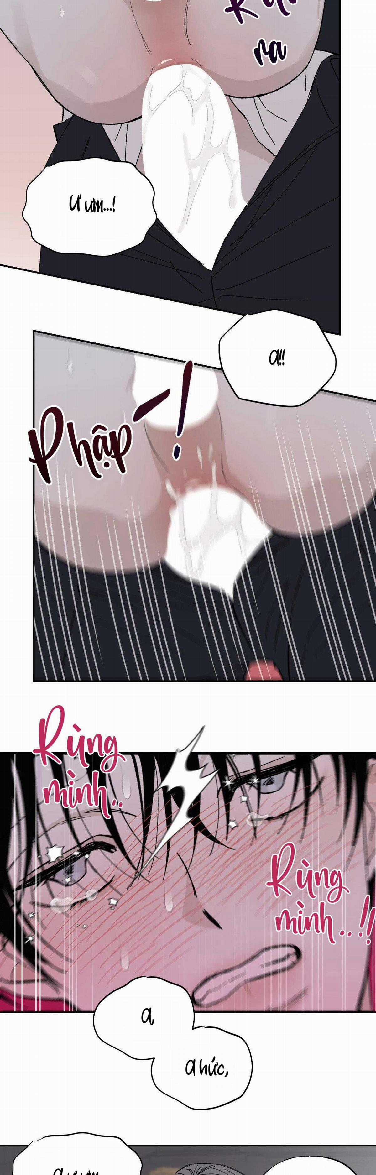 Gia Nhân - Chapter 28 - Trang 14