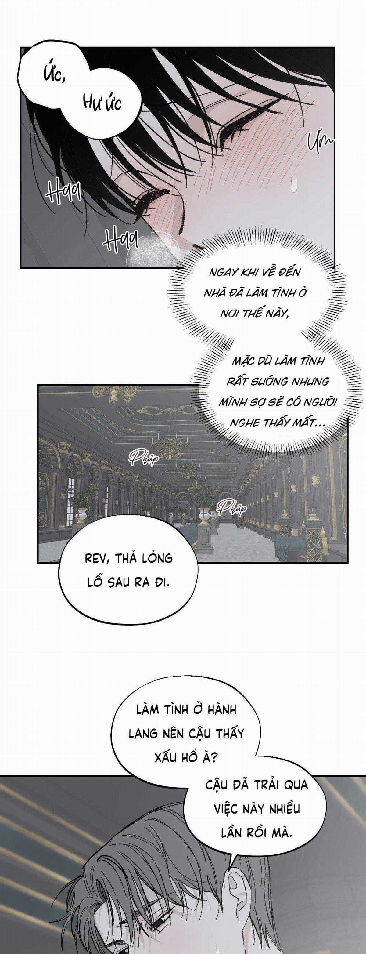 Gia Nhân - Chapter 28 - Trang 3