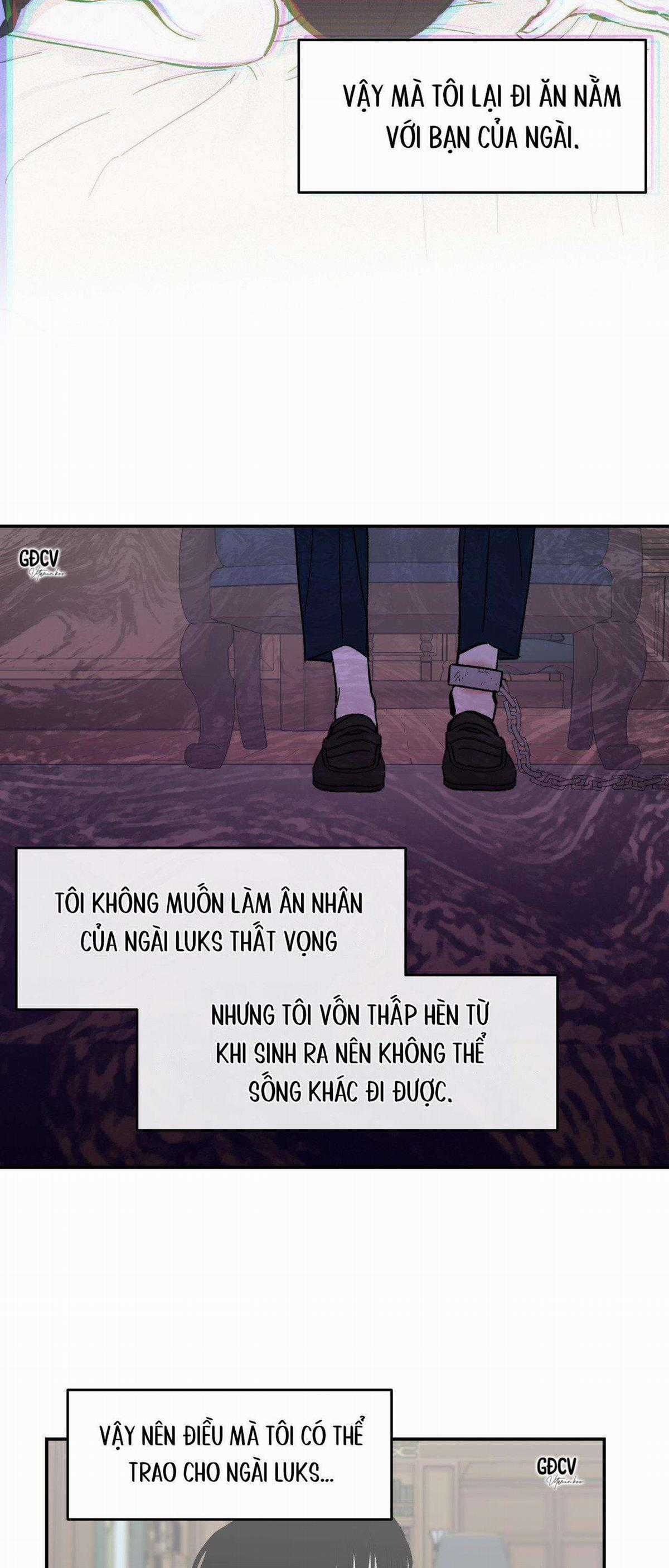 Gia Nhân - Chapter 8 - Trang 11