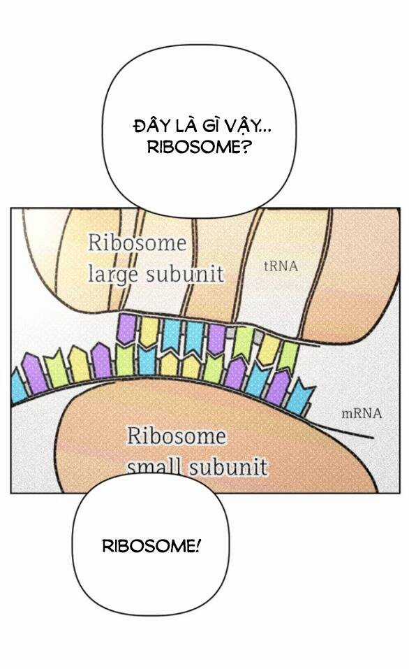 Giấc Mơ Học Thức - Chapter 3.1 - Trang 50