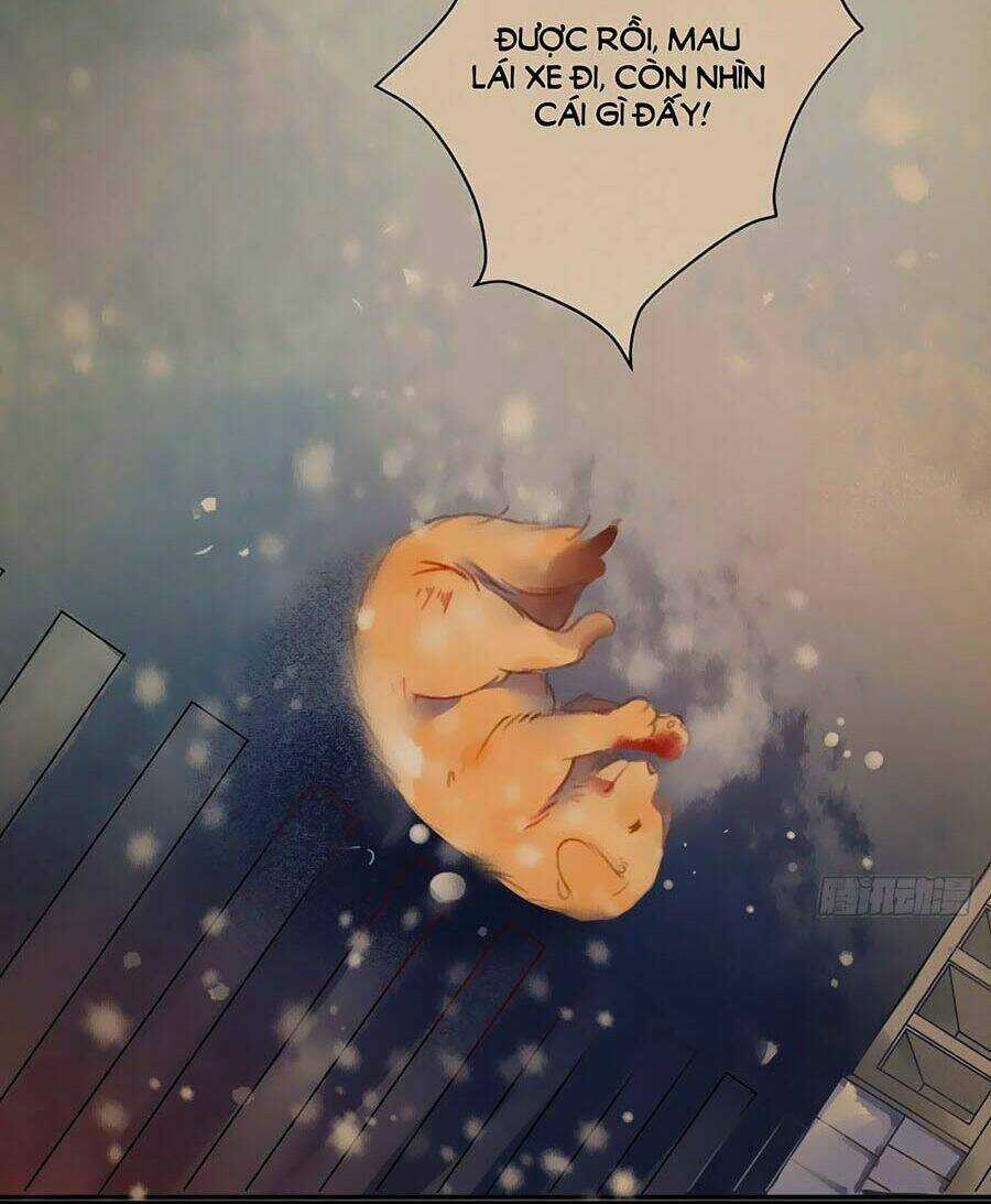 Giấc Mộng Nam Triều - Chapter 2 - Trang 5
