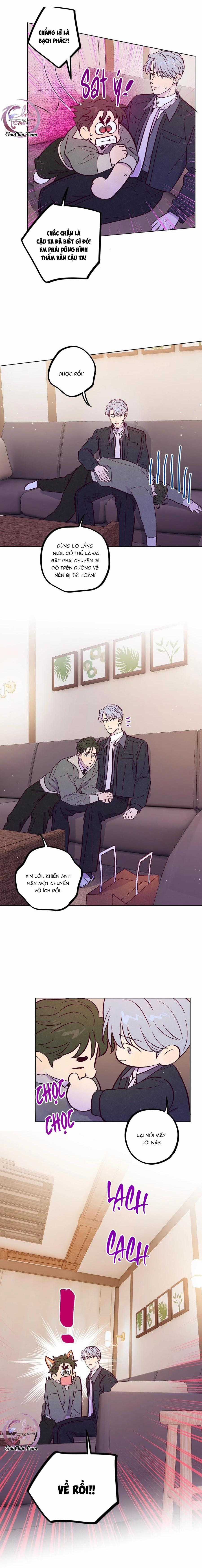 Giăng Bẫy Bác Sĩ Hồ Ly - Chapter 110 - Trang 7