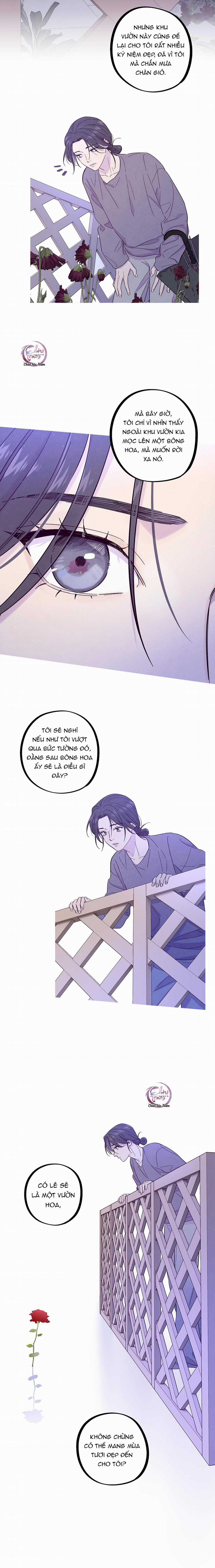 Giăng Bẫy Bác Sĩ Hồ Ly - Chapter 28 - Trang 3