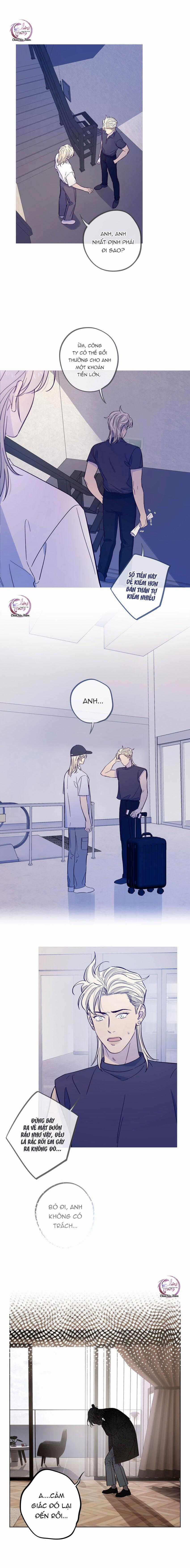 Giăng Bẫy Bác Sĩ Hồ Ly - Chapter 42 - Trang 8