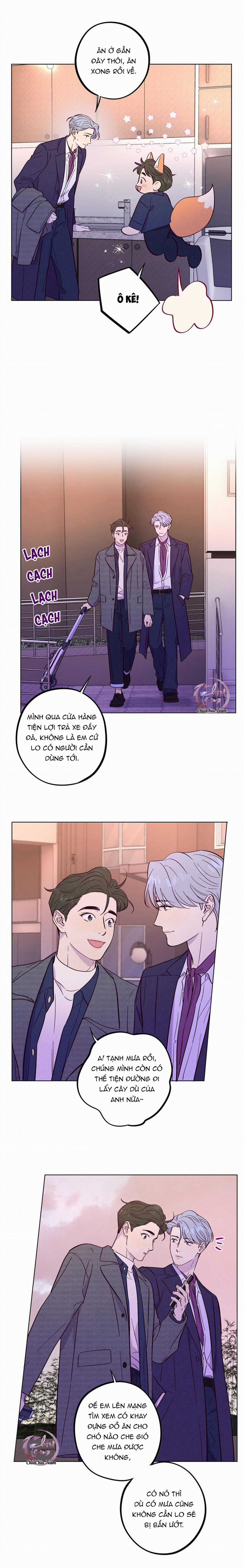 Giăng Bẫy Bác Sĩ Hồ Ly - Chapter 52 - Trang 5