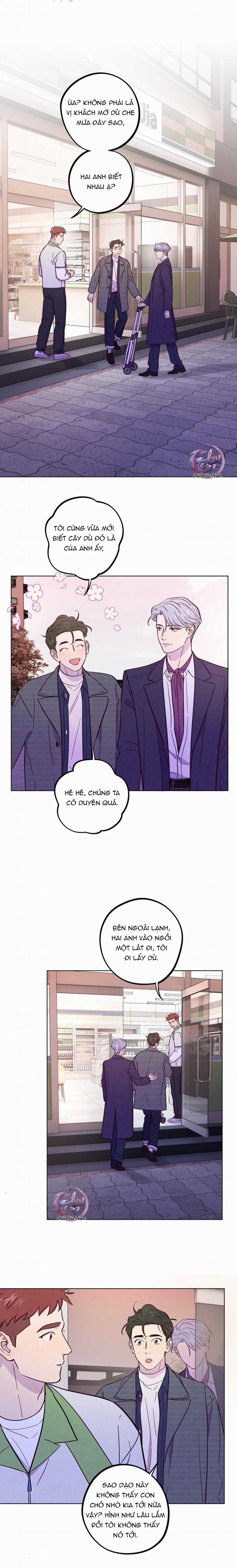 Giăng Bẫy Bác Sĩ Hồ Ly - Chapter 52 - Trang 9