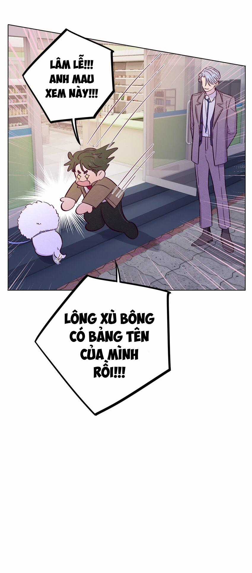 Giăng Bẫy Bác Sĩ Hồ Ly - Chapter 60 - Trang 35