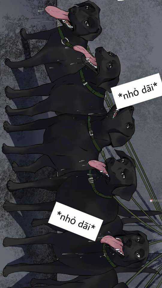 Giày Thủy Tinh - Chapter 23 - Trang 3