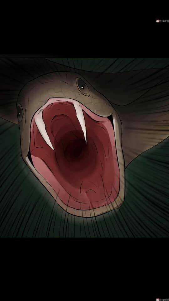 Giày Thủy Tinh - Chapter 31.5 - Trang 12