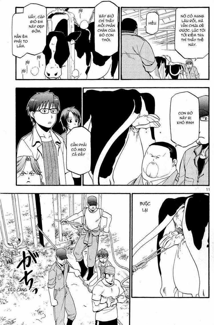 Gin No Saji - Chapter 17 - Trang 11