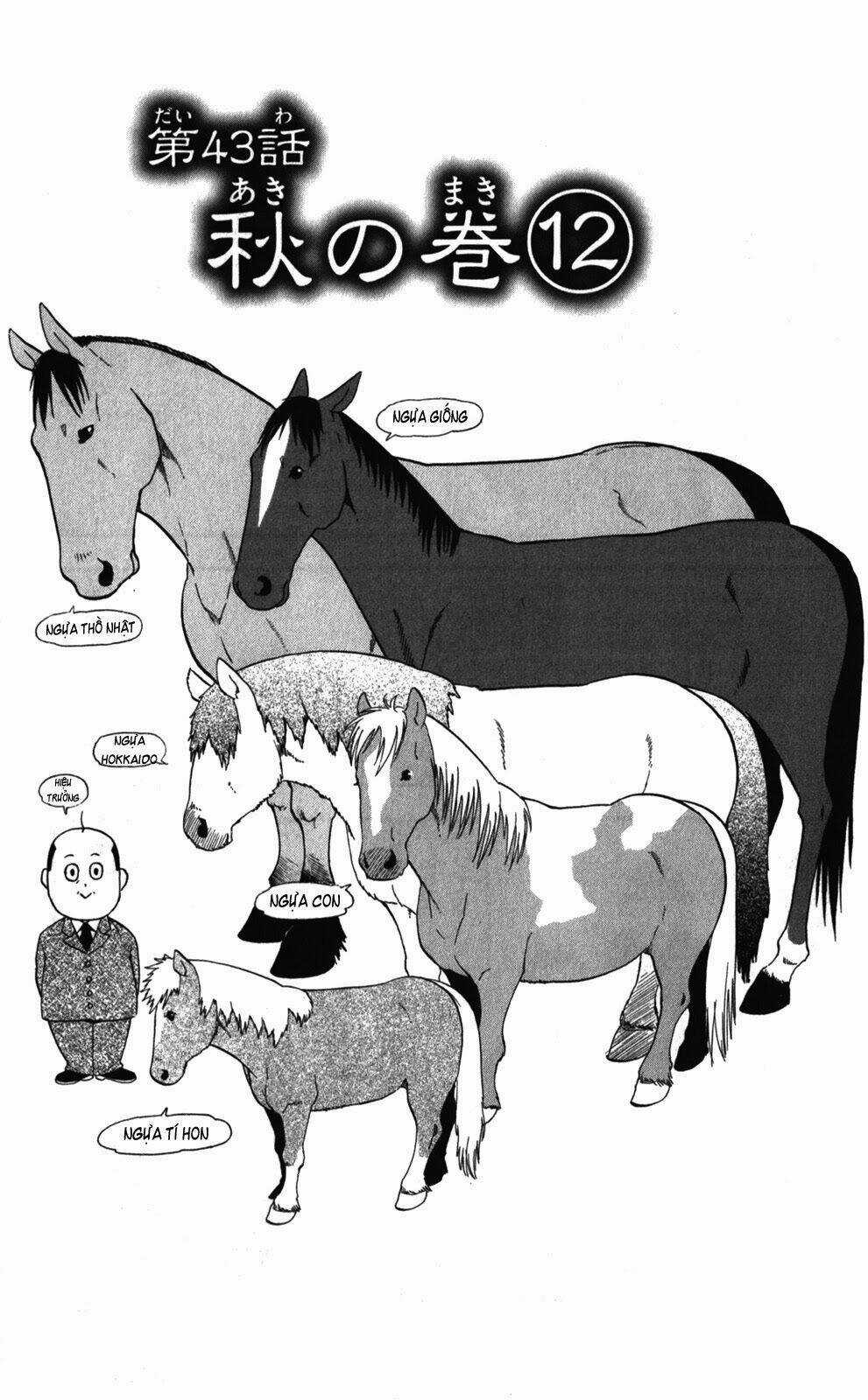 Gin No Saji - Chapter 43 - Trang 3