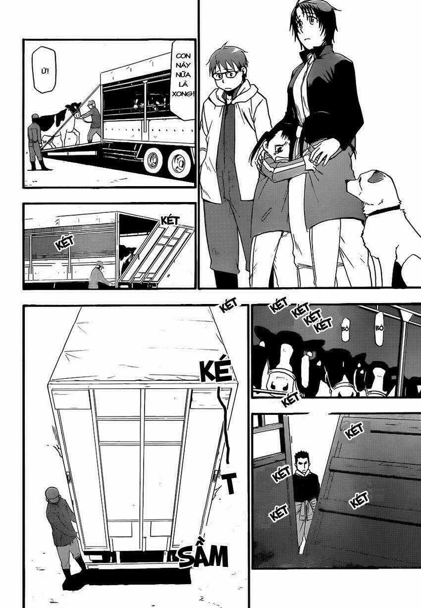 Gin No Saji - Chapter 67 - Trang 13