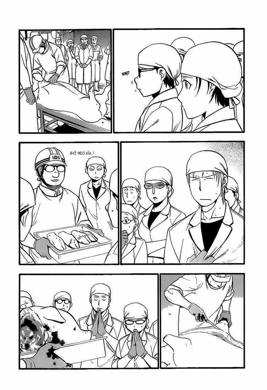 Gin No Saji - Chapter 77 - Trang 11