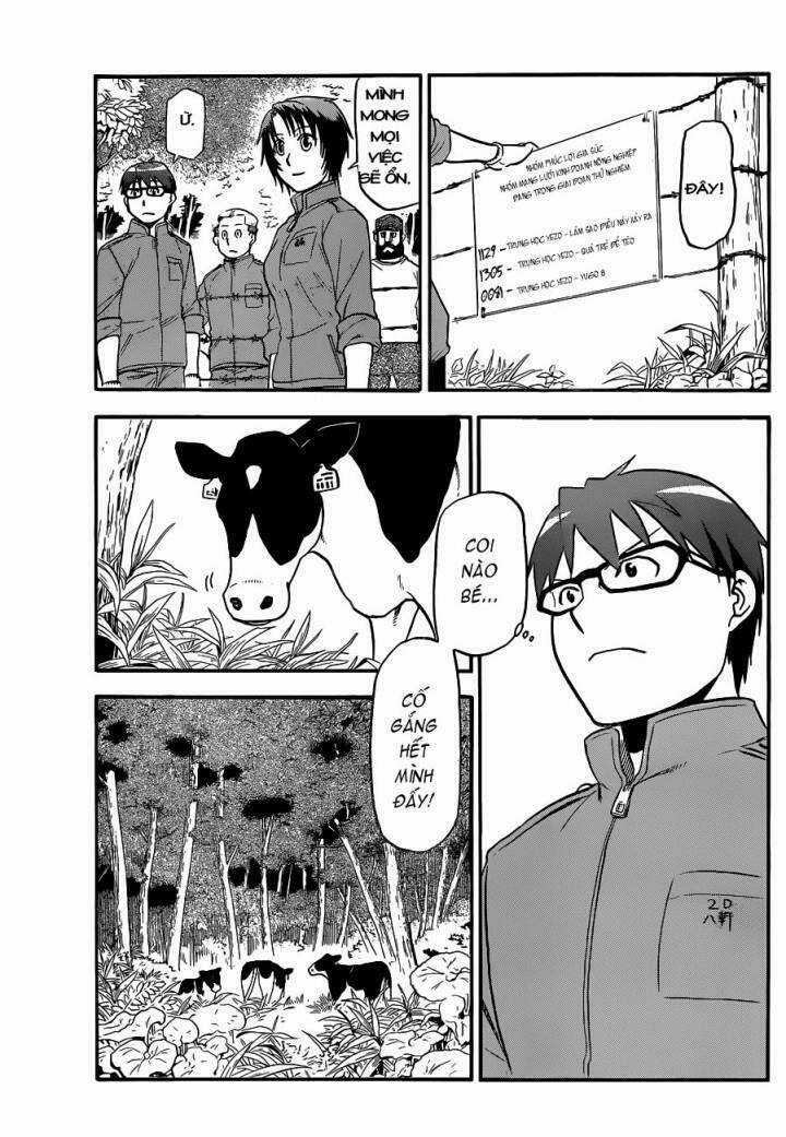 Gin No Saji - Chapter 99 - Trang 11