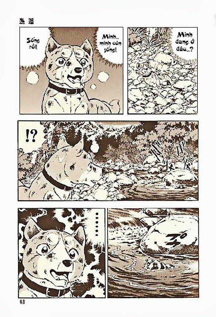 Ginga Densetsu Riki - Chapter 3 - Trang 11