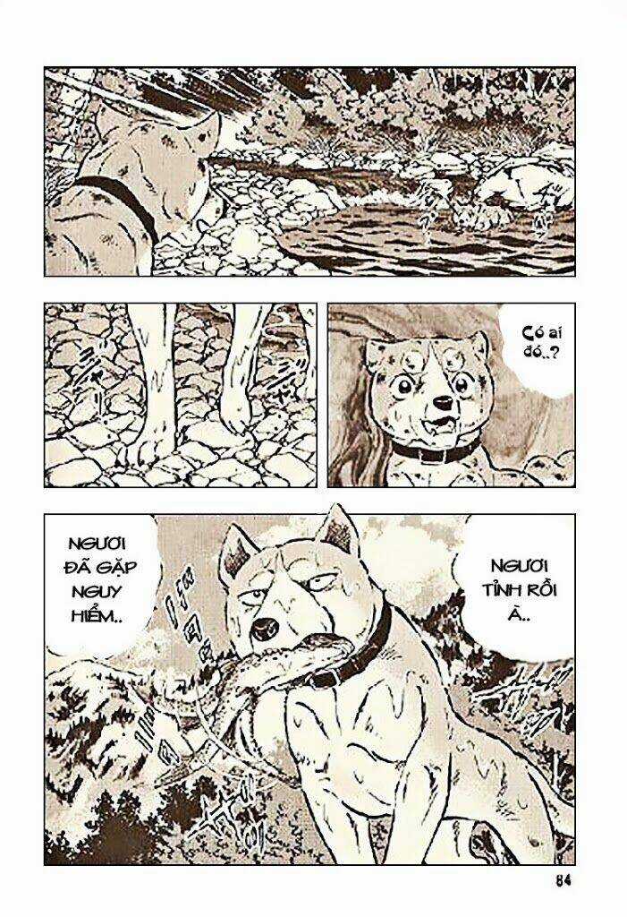 Ginga Densetsu Riki - Chapter 3 - Trang 12